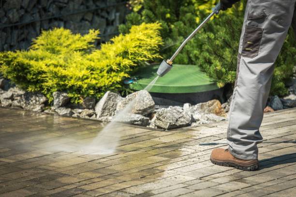 Best Boat and Dock Cleaning  in Bartow, FL