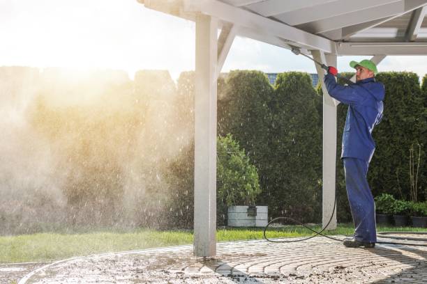 Animal Enclosure Cleaning in Bartow, FL